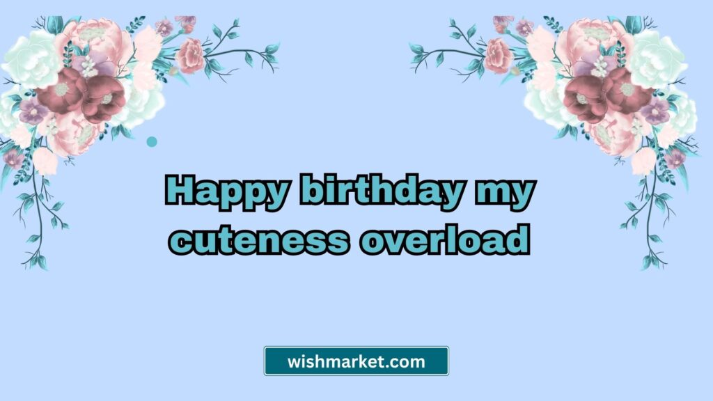 Cute Soulmate Birthday Wishes