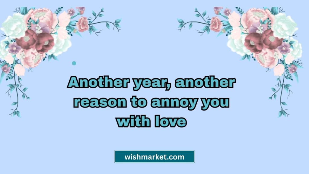 Funny Soulmate Birthday Wishes